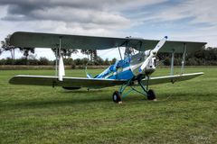 Tiger Moth blau