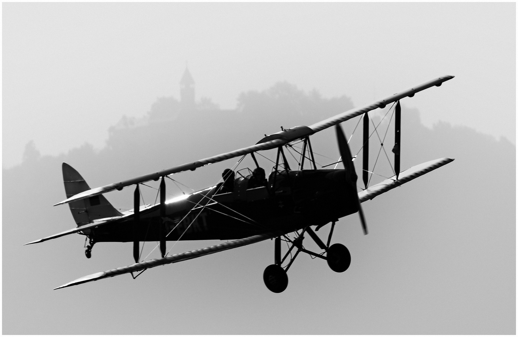 Tiger Moth