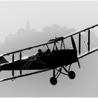 Tiger Moth