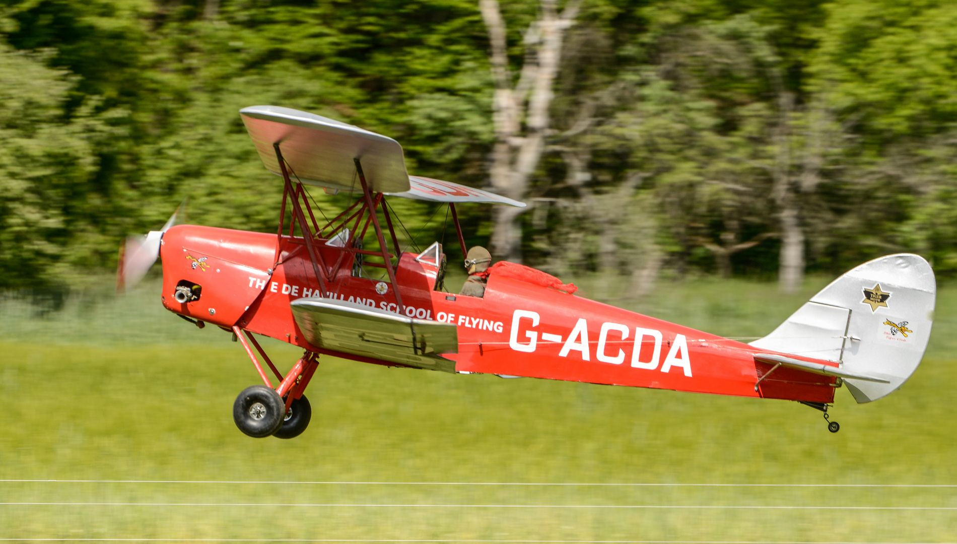 Tiger - Moth im Landeanflug !