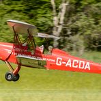 Tiger - Moth im Landeanflug !