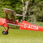 Tiger - Moth im Landeanflug !