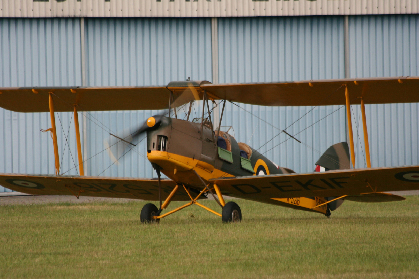 Tiger Moth Part 1