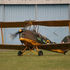 Tiger Moth Part 1