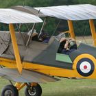 Tiger Moth Part 2