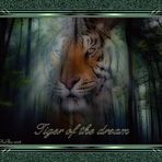 Tiger of the dream