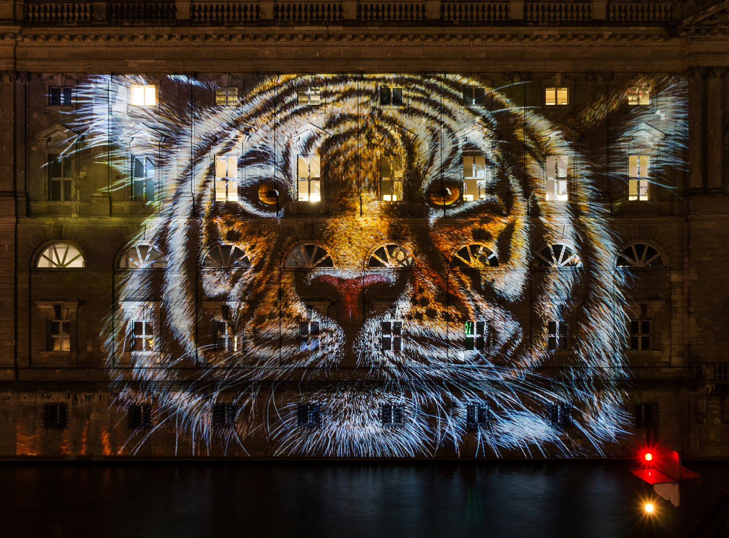 Tiger Portrait am neuen Marstall