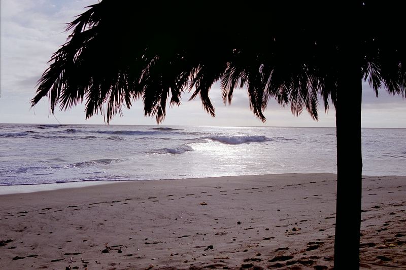 Tiger Reef Bar in Swakopmund