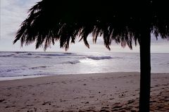 Tiger Reef Bar in Swakopmund