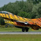 Tiger Sonderlackierung der Belgian Air Force