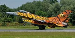 Tiger Sonderlackierung der Belgian Air Force