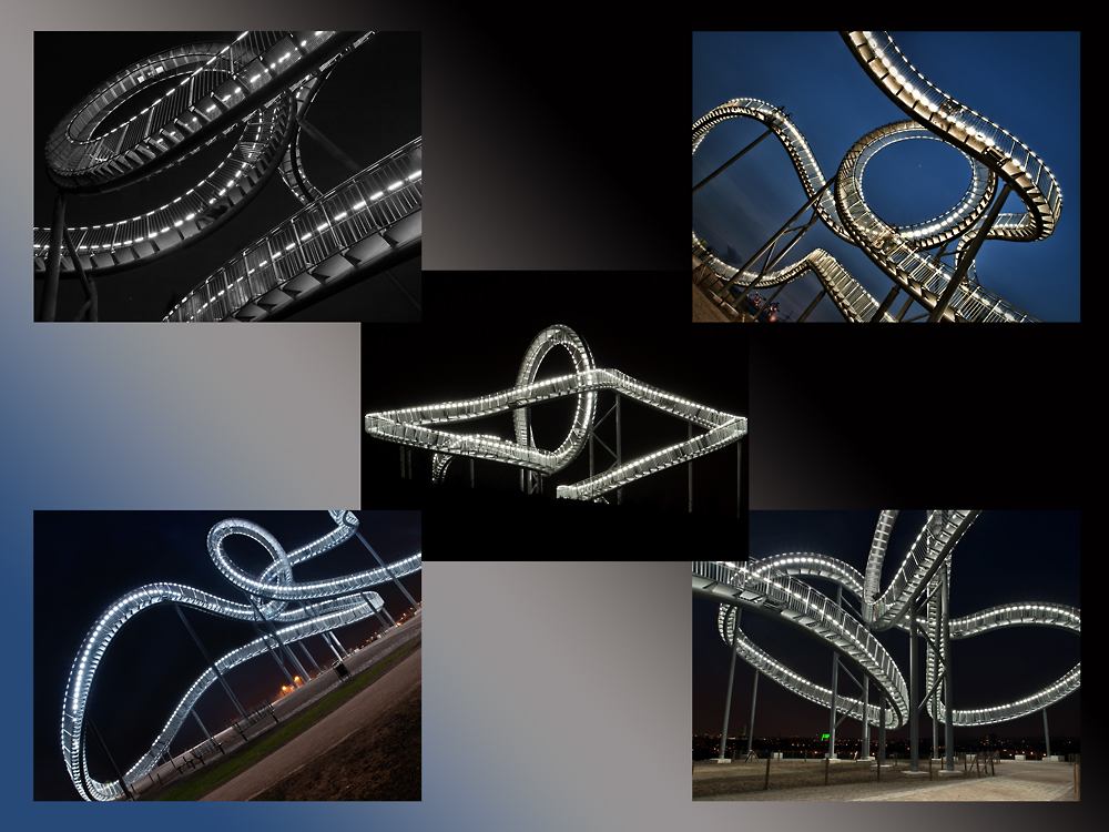 Tiger & Turtle