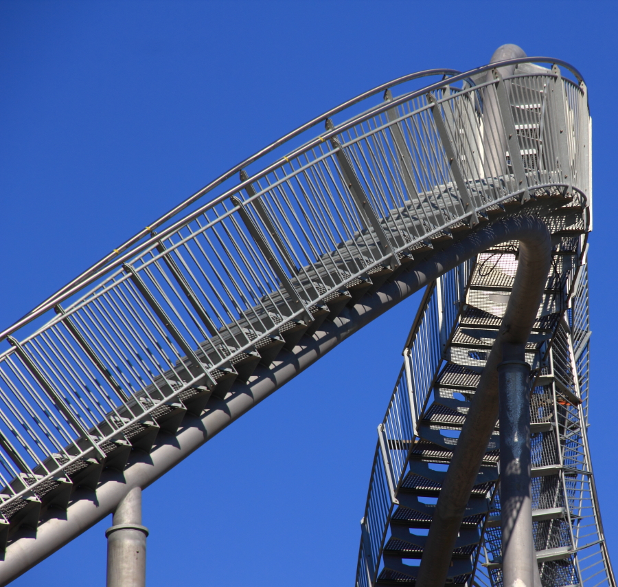 Tiger & Turtle 01