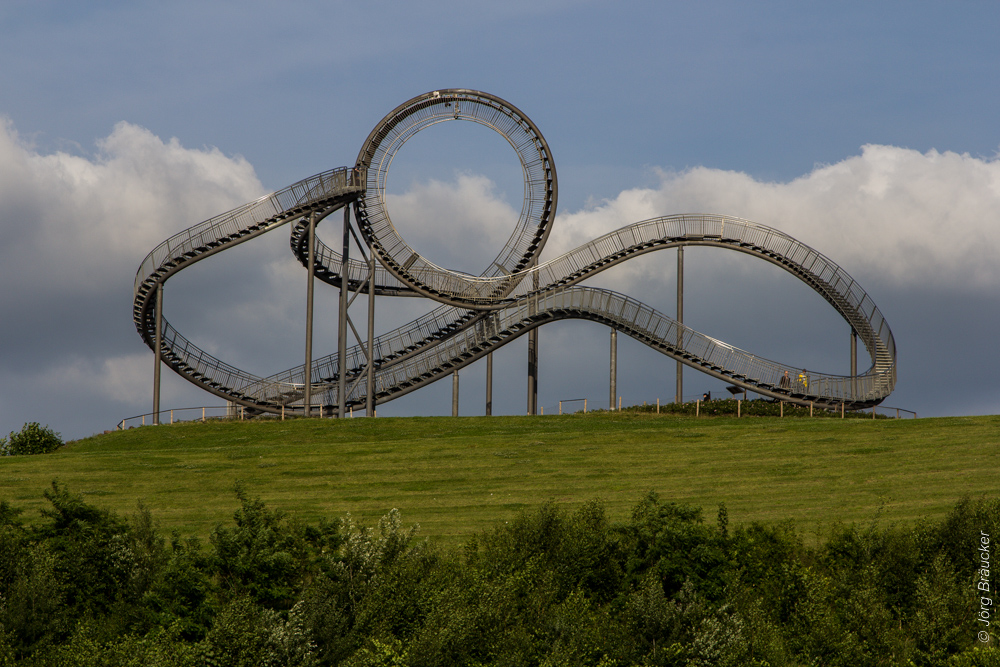 Tiger & Turtle 01