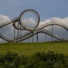 Tiger & Turtle 01