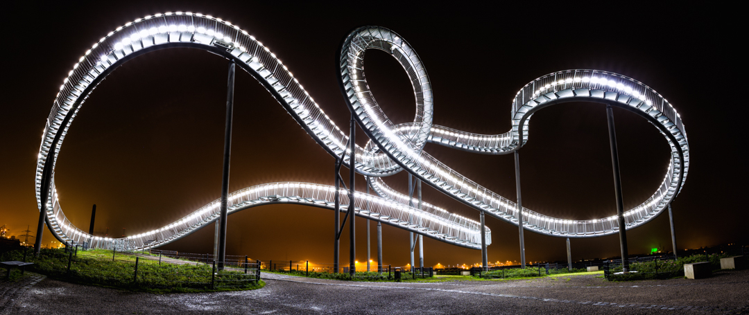 Tiger & Turtle