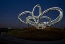 Tiger & Turtle