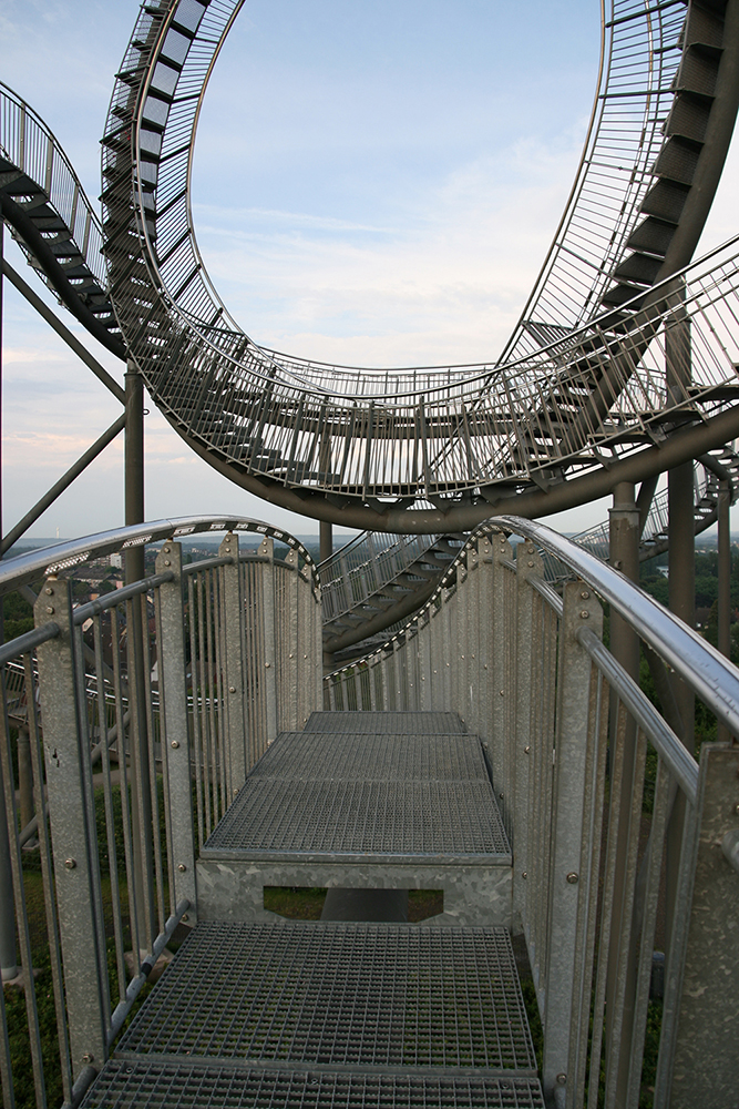 Tiger & Turtle 02