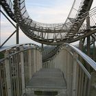 Tiger & Turtle 02