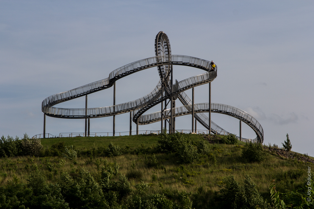 Tiger & Turtle 02