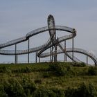 Tiger & Turtle 02