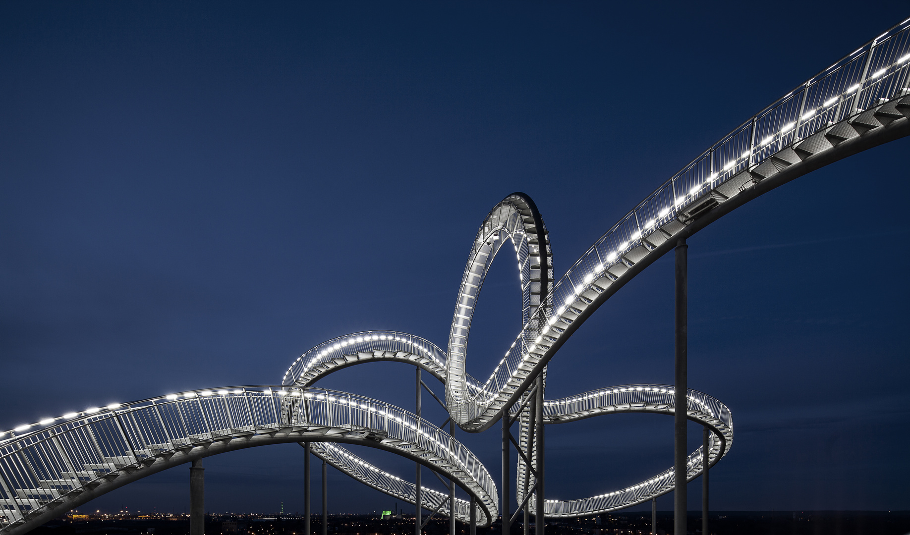 Tiger & Turtle