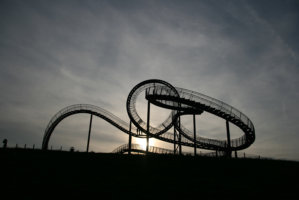 Tiger & Turtle 03