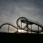 Tiger & Turtle 03