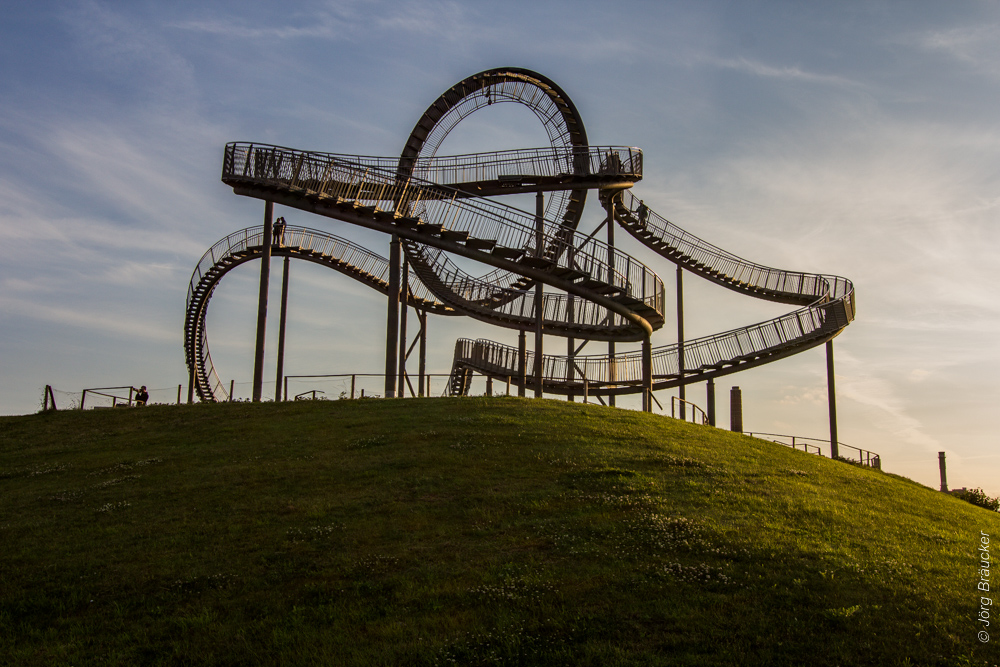 Tiger & Turtle 03