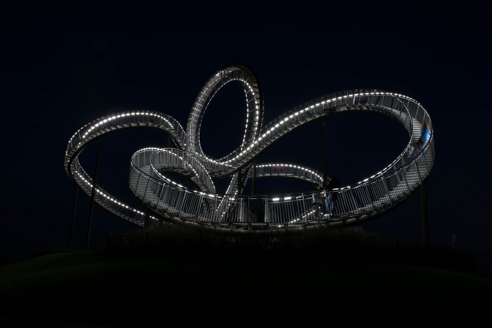 Tiger & Turtle