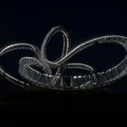 Tiger & Turtle