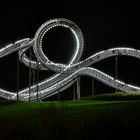 Tiger & Turtle