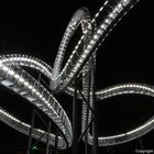 Tiger & Turtle