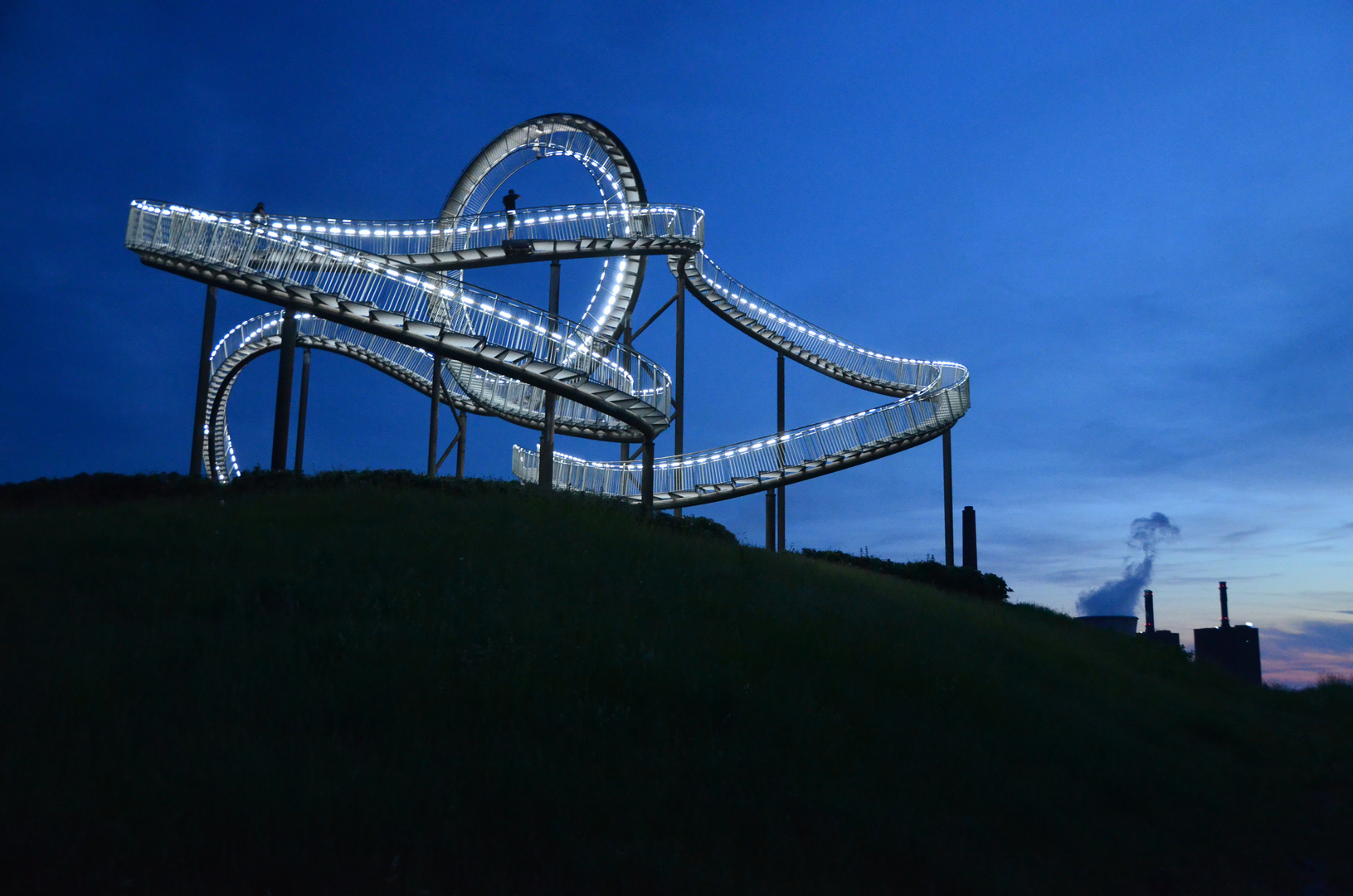 Tiger & Turtle