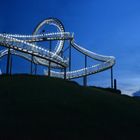 Tiger & Turtle