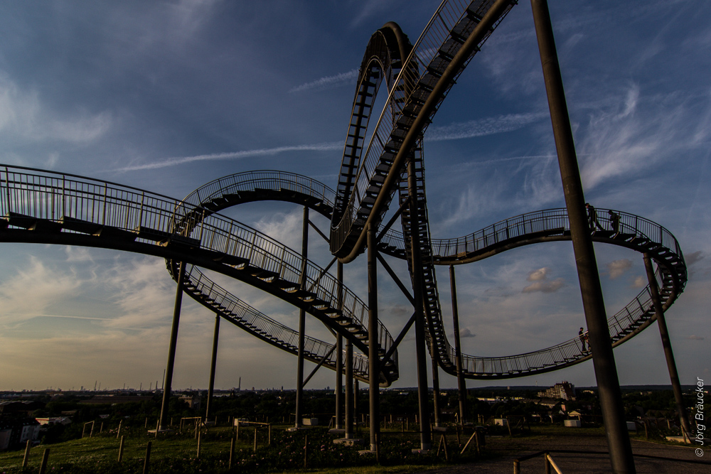 Tiger & Turtle 06