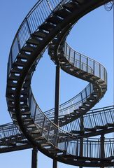 Tiger & Turtle 06