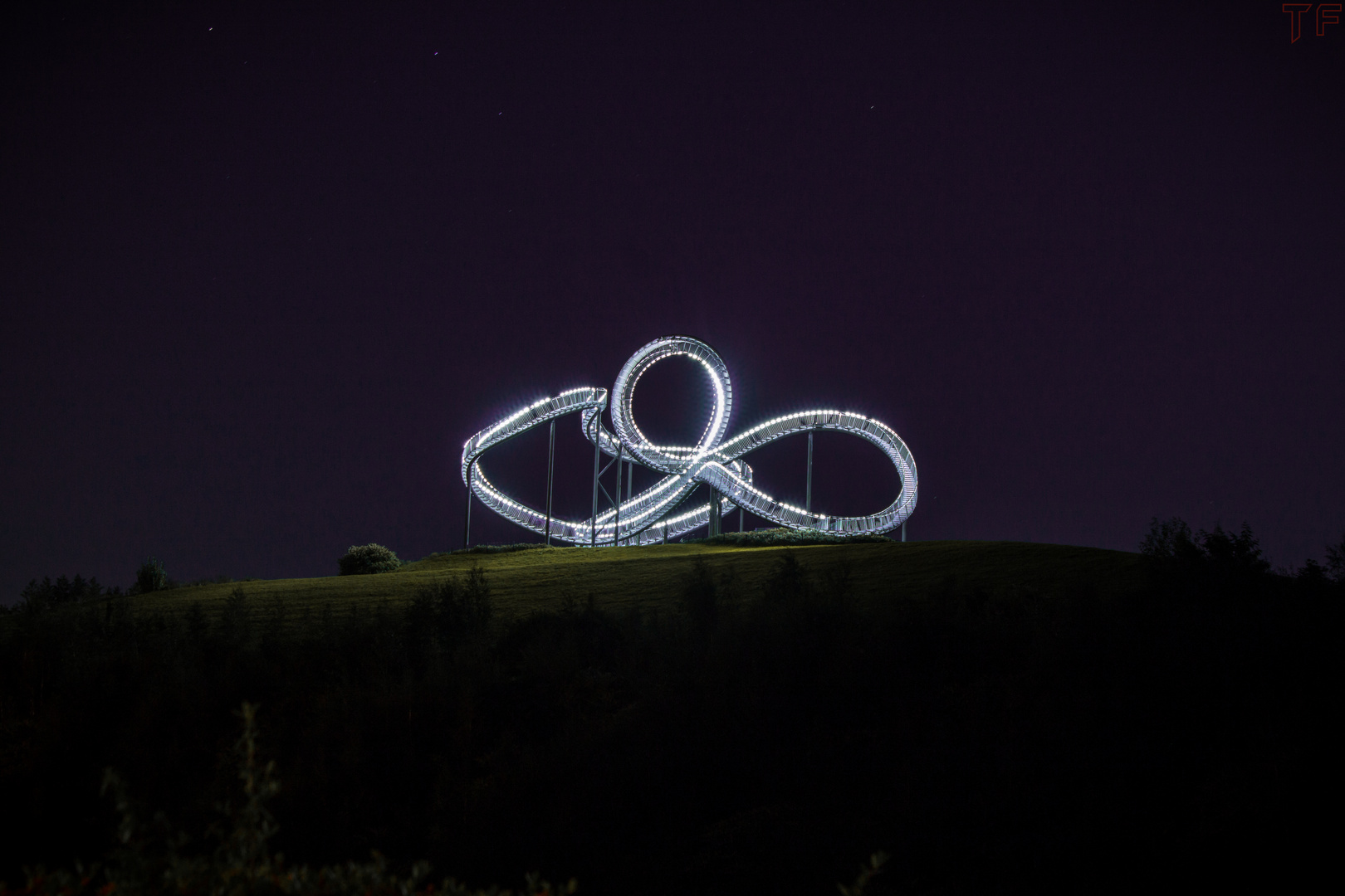 Tiger & Turtle