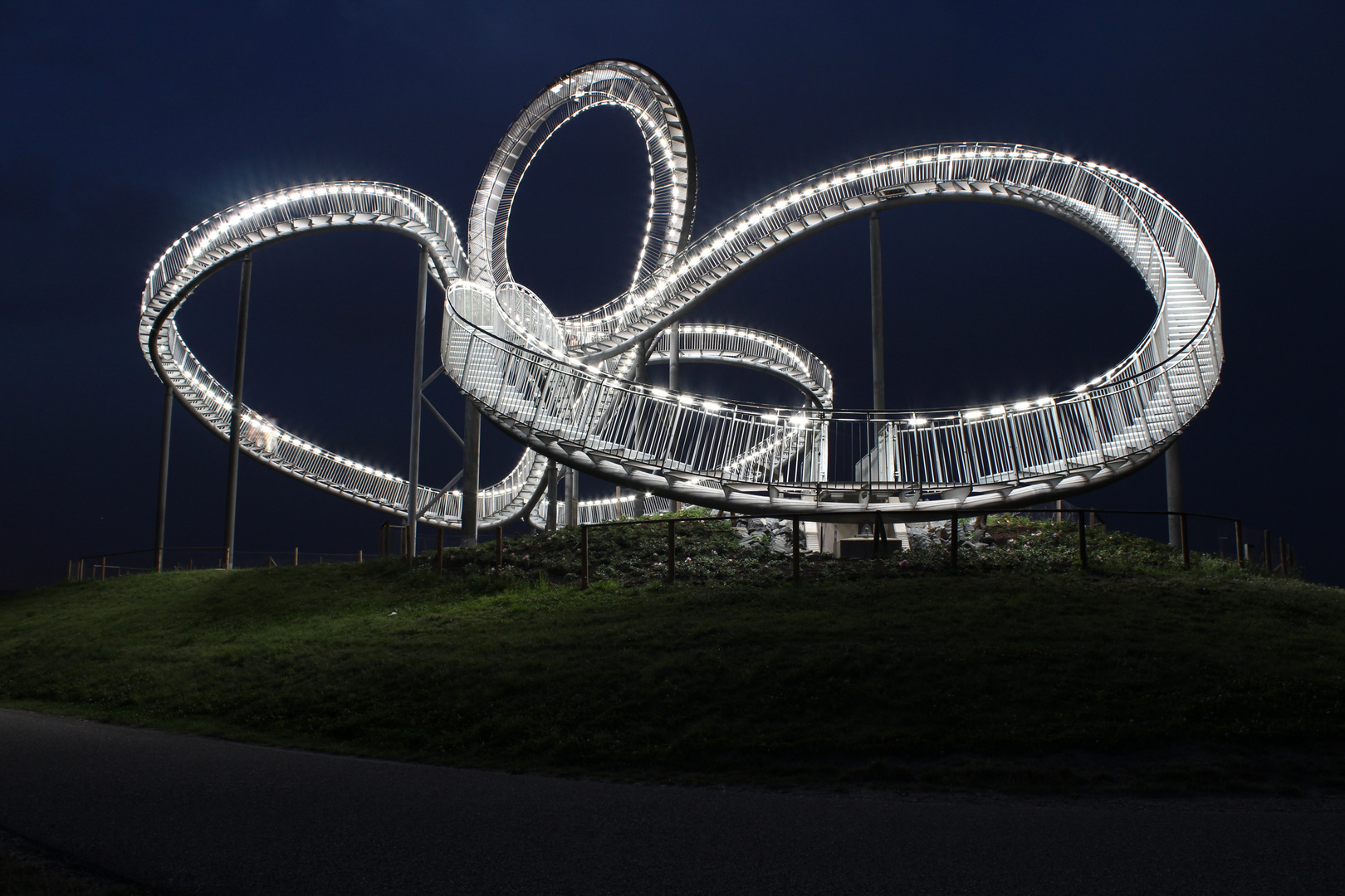 Tiger & Turtle