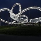 Tiger & Turtle