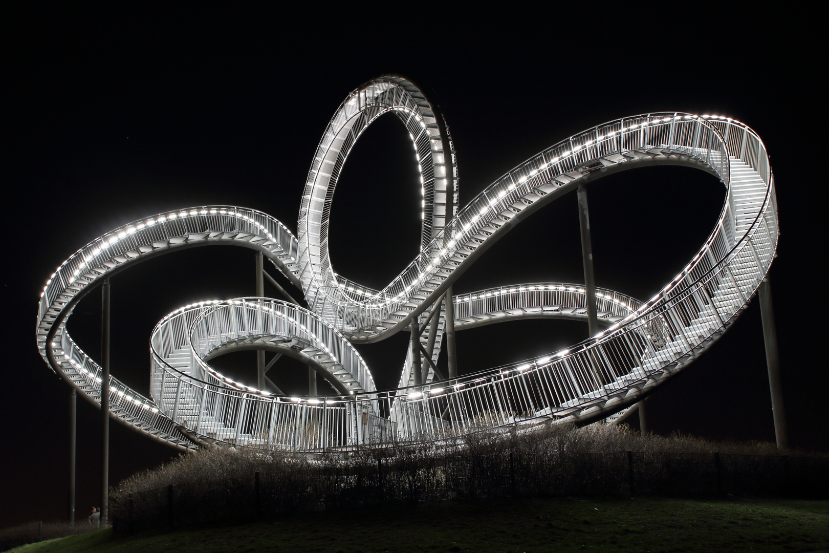 Tiger & Turtle