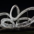 Tiger & Turtle