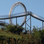 Tiger & Turtle 08