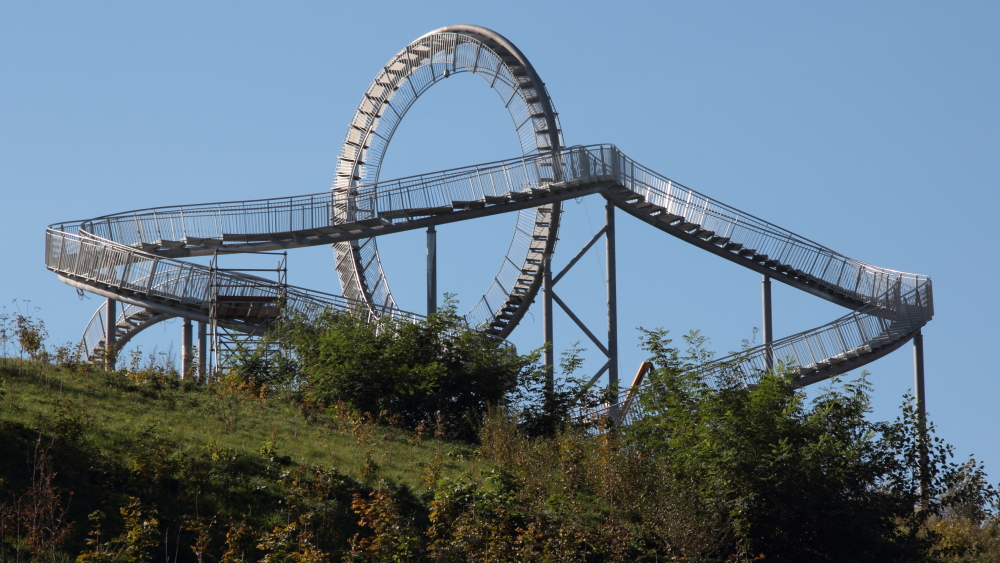 Tiger & Turtle 08