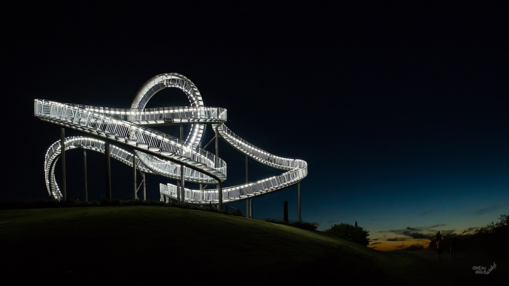 * Tiger & Turtle *