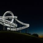 * Tiger & Turtle *