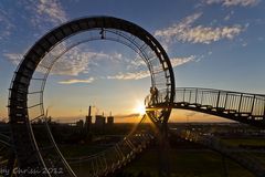 Tiger & Turtle