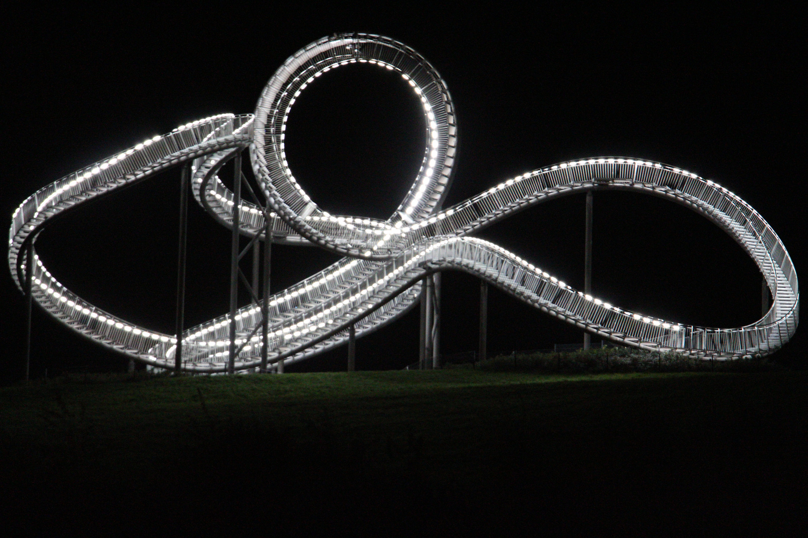 Tiger & Turtle