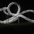 Tiger & Turtle