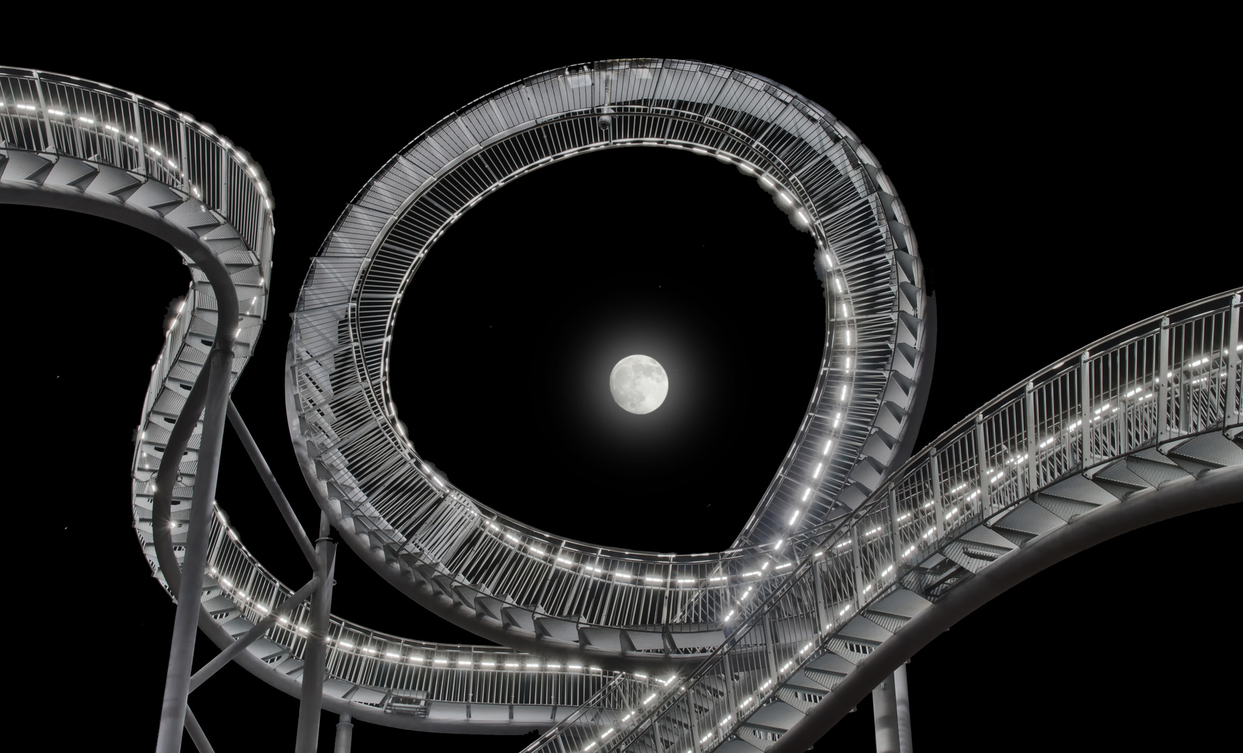 Tiger & Turtle